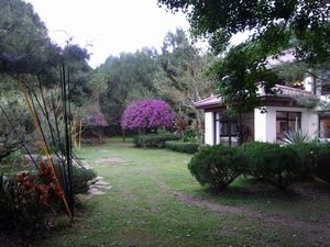 松濤園 庭